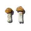 Buy Hero Magic Mushrooms In Texas